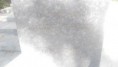 /album/fotogalerie-uvod/244314460-578691573325889-2318914826879358792-n-jpg/